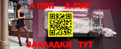 эйфоретик Кингисепп