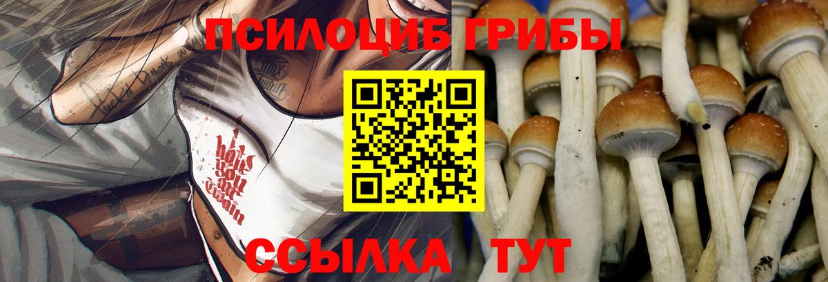 Красноуфимск  Псилоцибиновые грибы мухоморы  Галлюциногенные грибы Psilocybe  наркотики  Вход с VPN 
